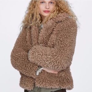 zara teddy bear coat